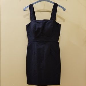 J. Crew Dress